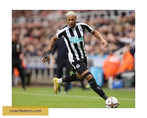 谢联展现复兴潜力，英超赛季表现亮眼，备受期待